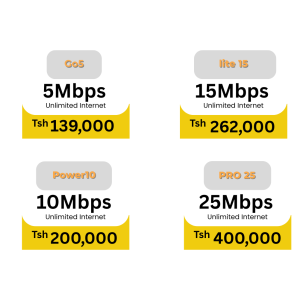 20Mbps home internet plan